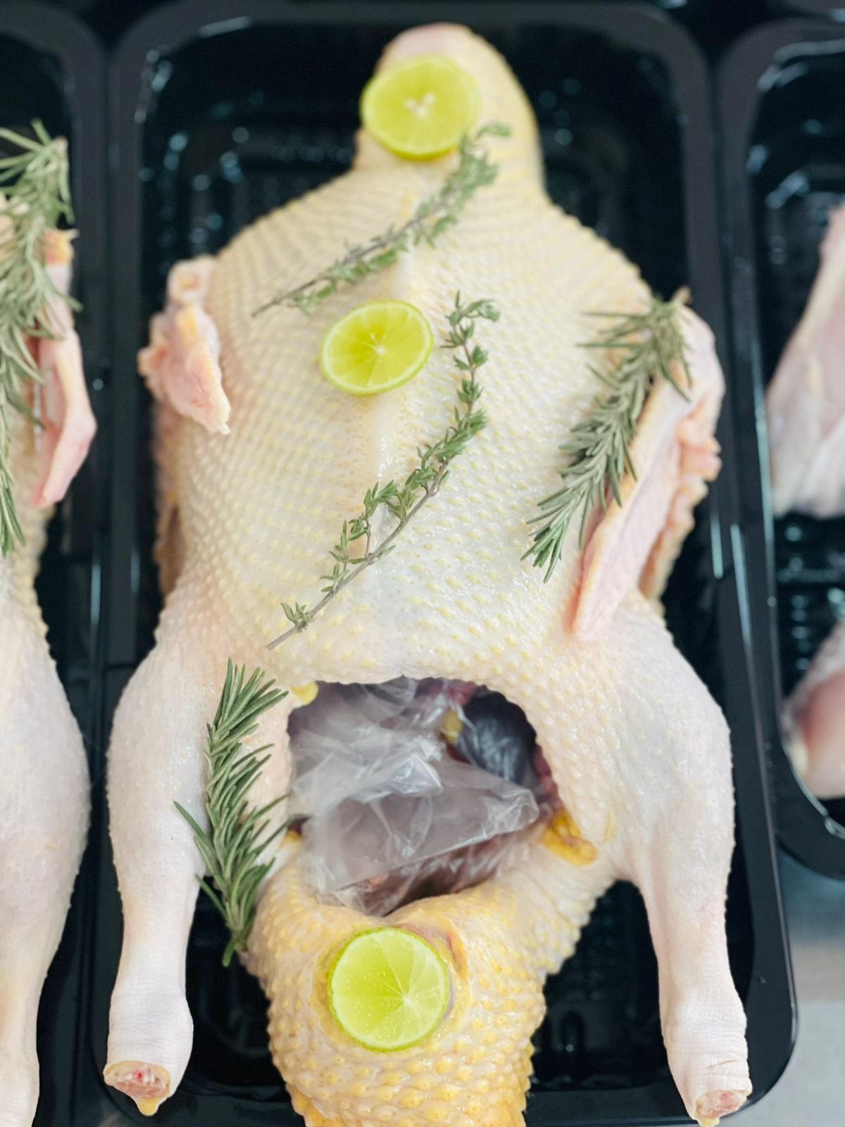 WhatsApp-Image-2022-03-18-at-12.53.19-PM.jpeg بط - الصورة 1