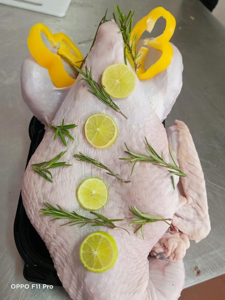 ديك-رومي.jpg ديك رومي أبيض - الصورة 1