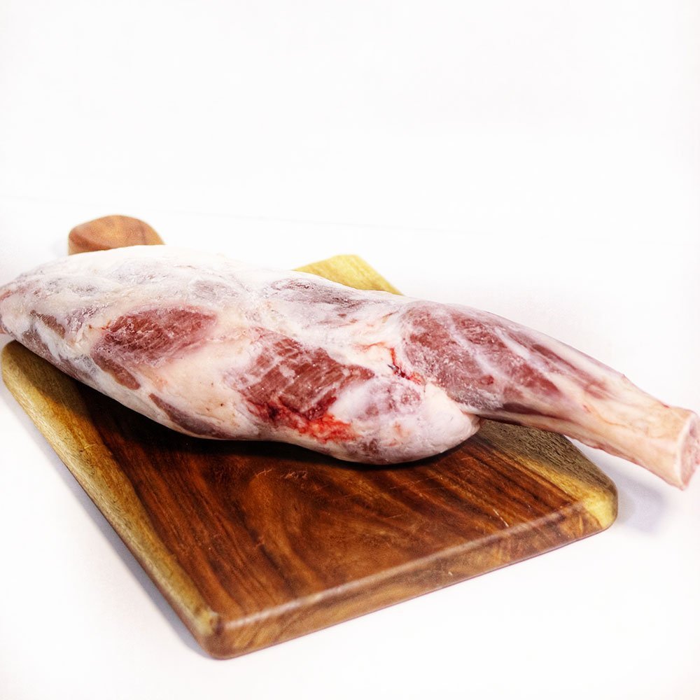 كتف-برقي.jpg الكتف - الصورة 1