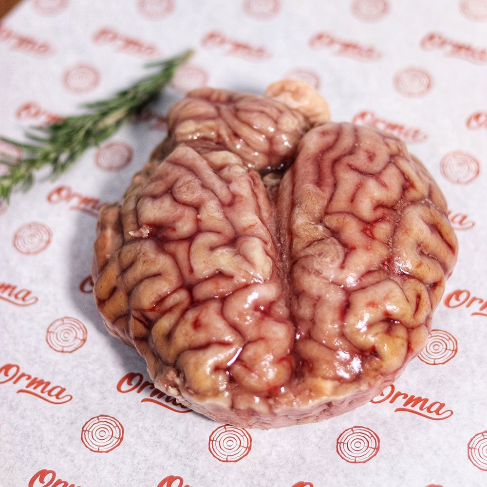 مخ-بقري.jpg مخ - الصورة 1